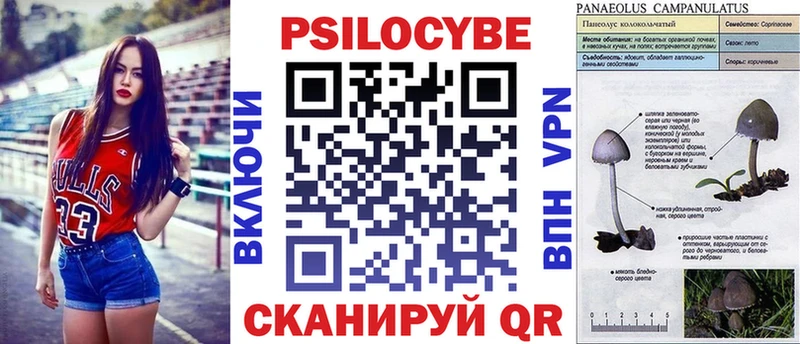 Галлюциногенные грибы ЛСД  OMG как войти  Темрюк 