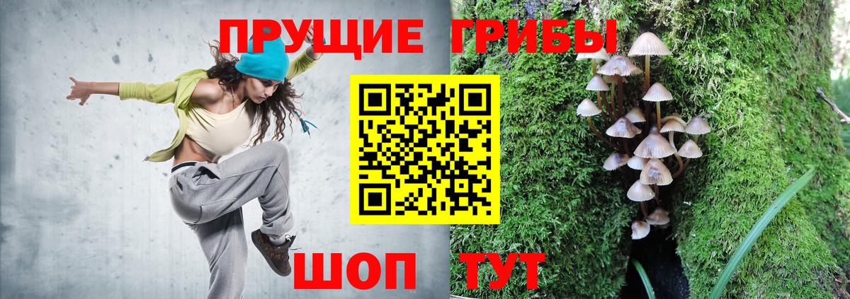 Галлюциногенные грибы Cubensis Темрюк