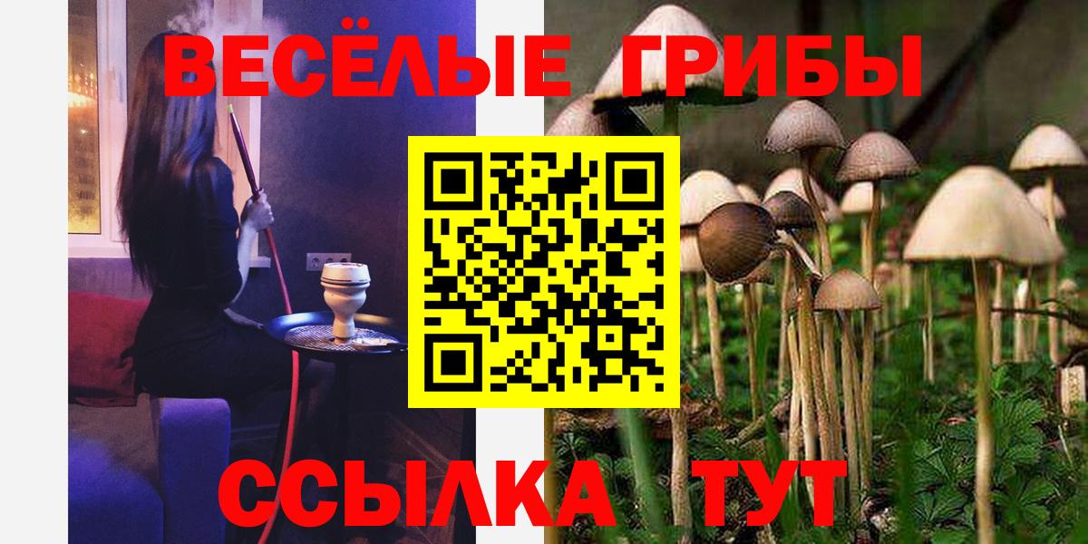 Галлюциногенные грибы Psilocybe  Вход с VPN  Темрюк 